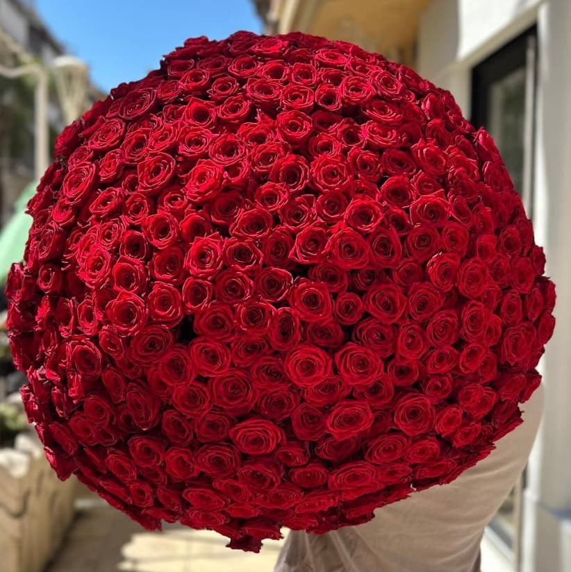 333 Rose Rouge 70cm - Menu item