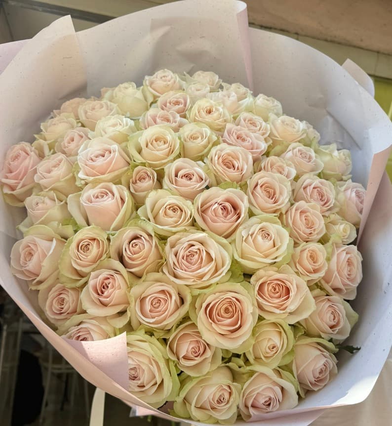 59 Roses Sweet Avalanche 70cm - Menu item