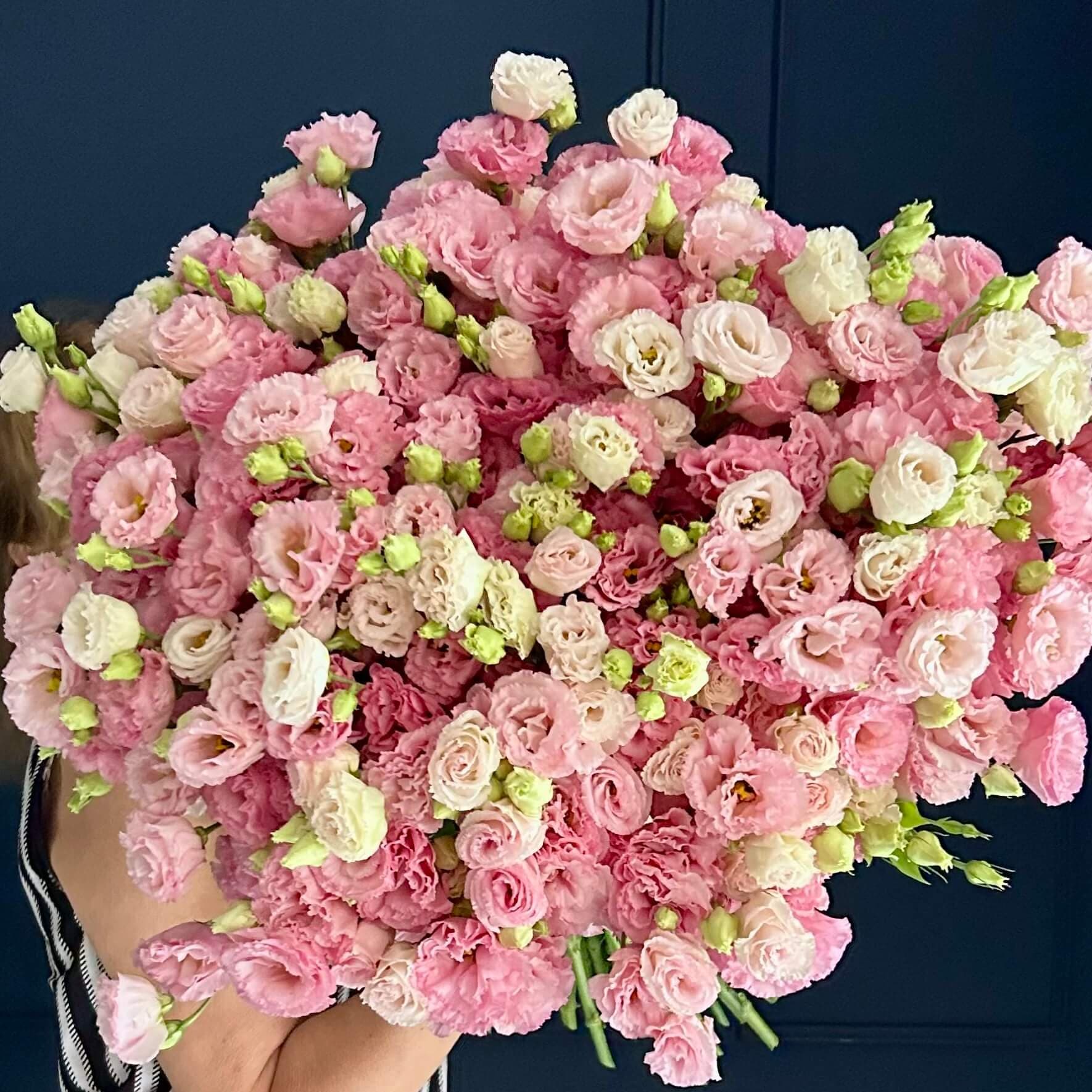 Blush Cascade  - Menu item