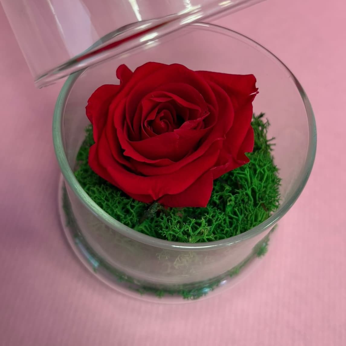 Cloche Rose Rouge Stabilisée - Menu item