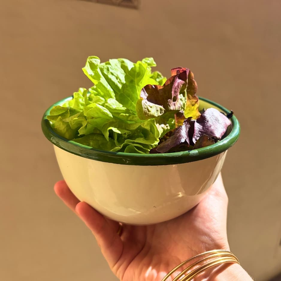 Salade Bio - Menu item