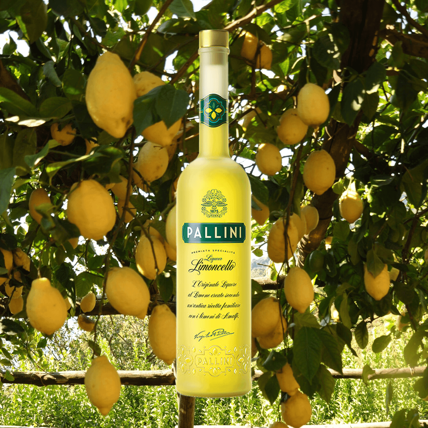 Pallini Limoncallo - Menu item