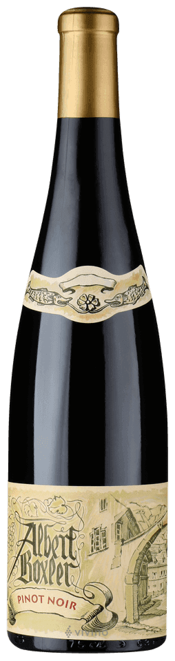 Pinot Noir Boxler Albert