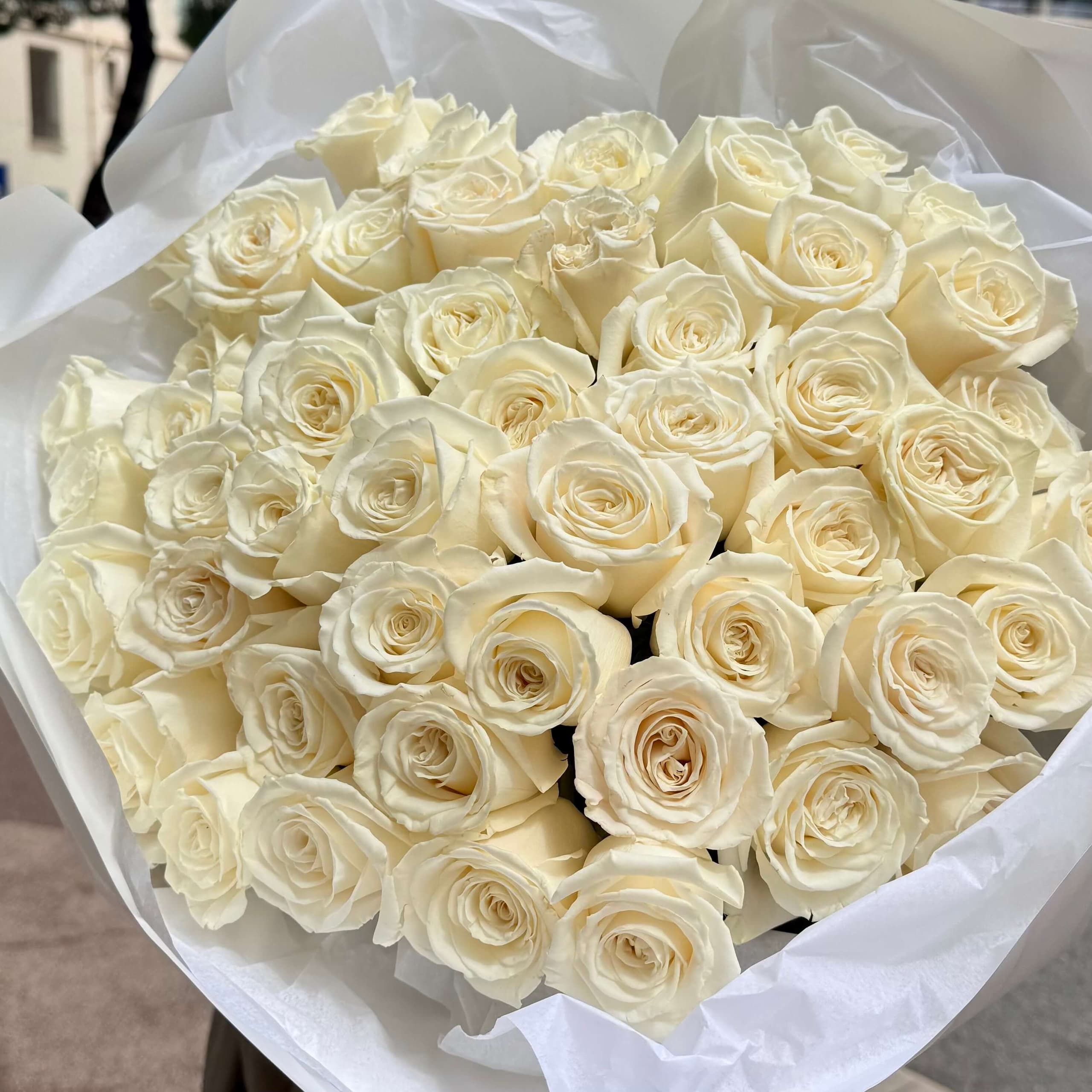 Roses Playa Blanca 25 pieces  - Menu item