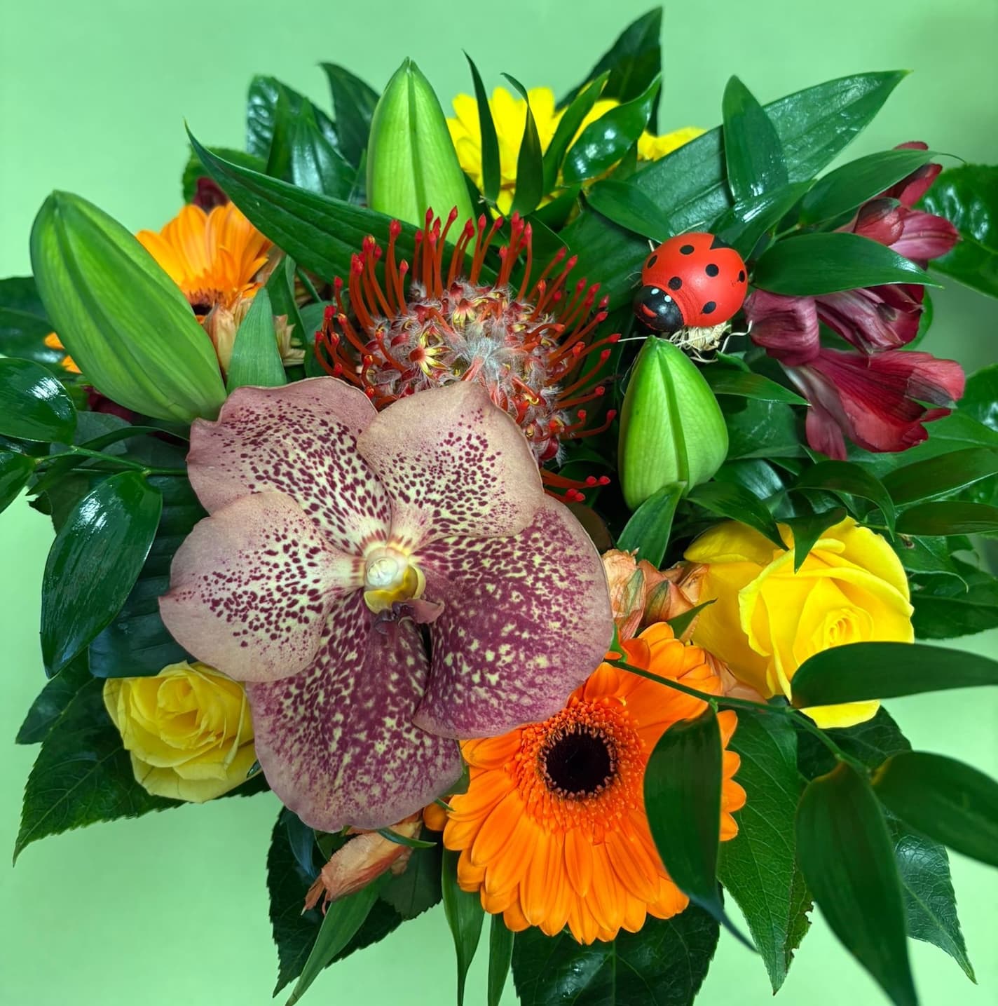 Bouquet Saison Coloré  - Menu item