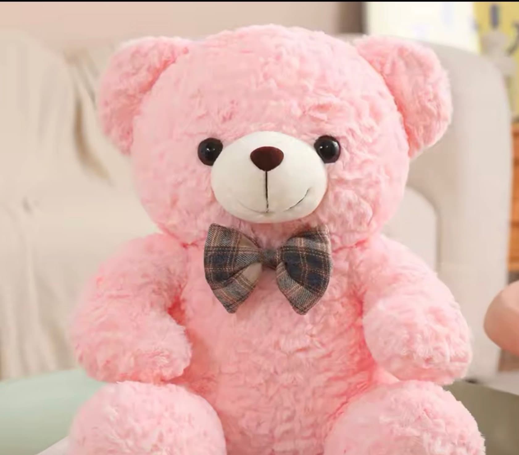 Ourson 50cm  - Menu item