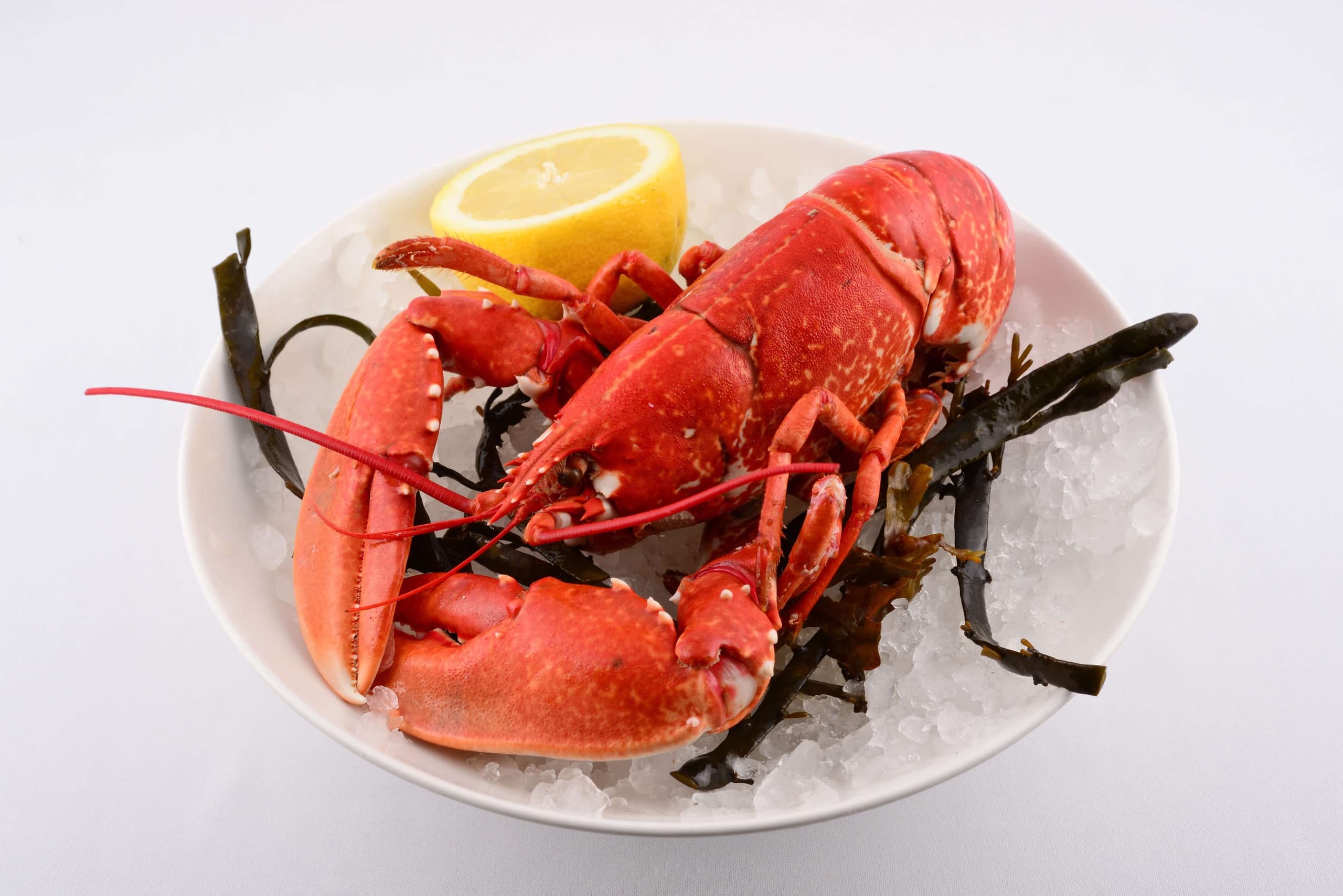 Homard entier - Menu item