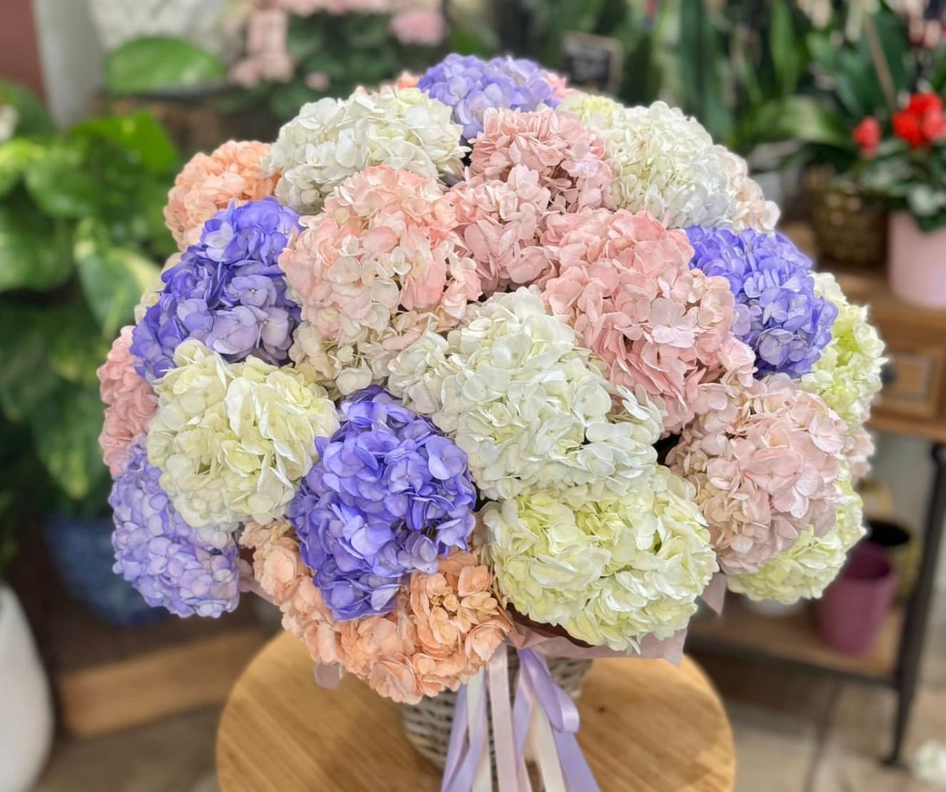 Panier d'hortensias d'hiver  - Menu item
