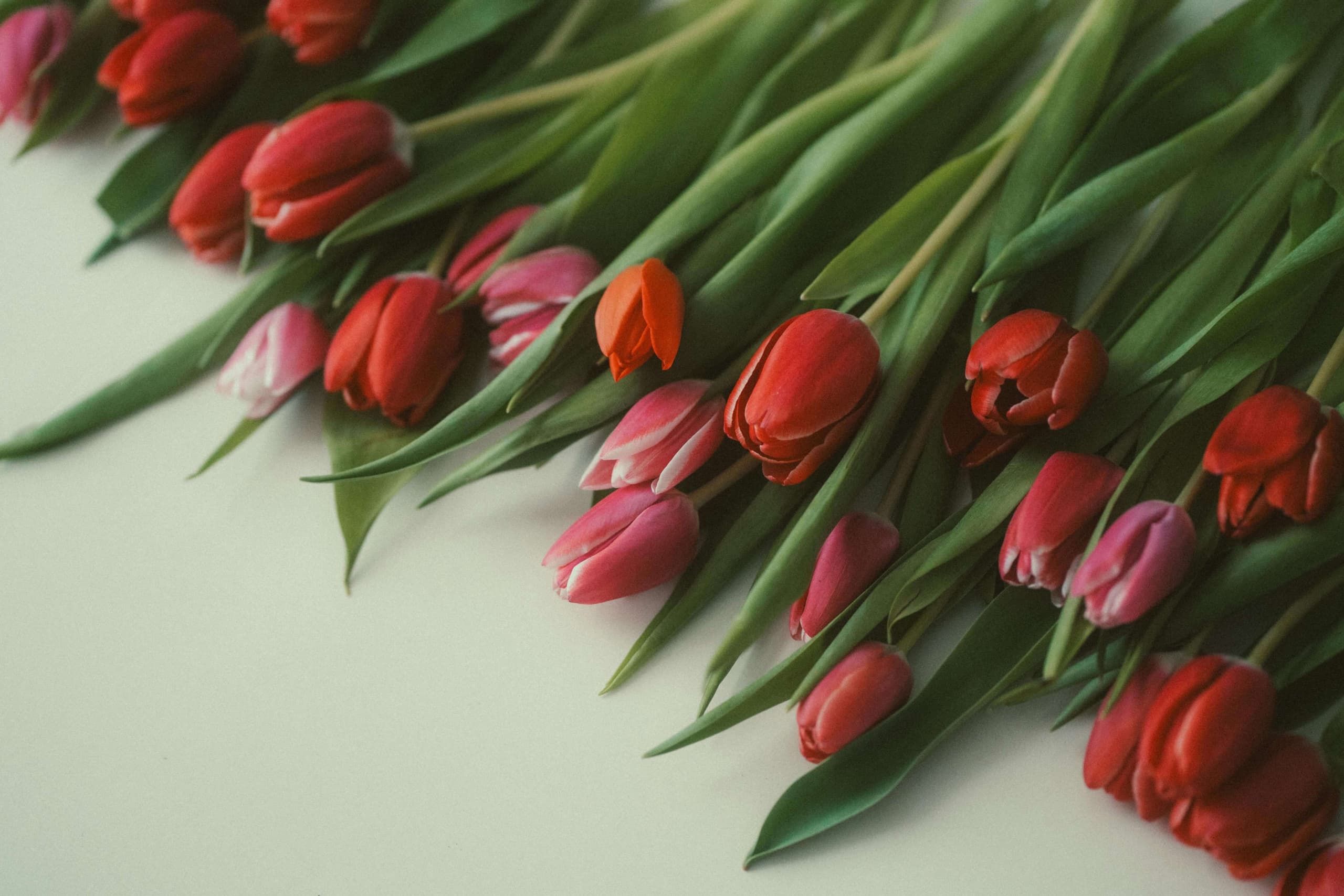 Maison des Fleurs