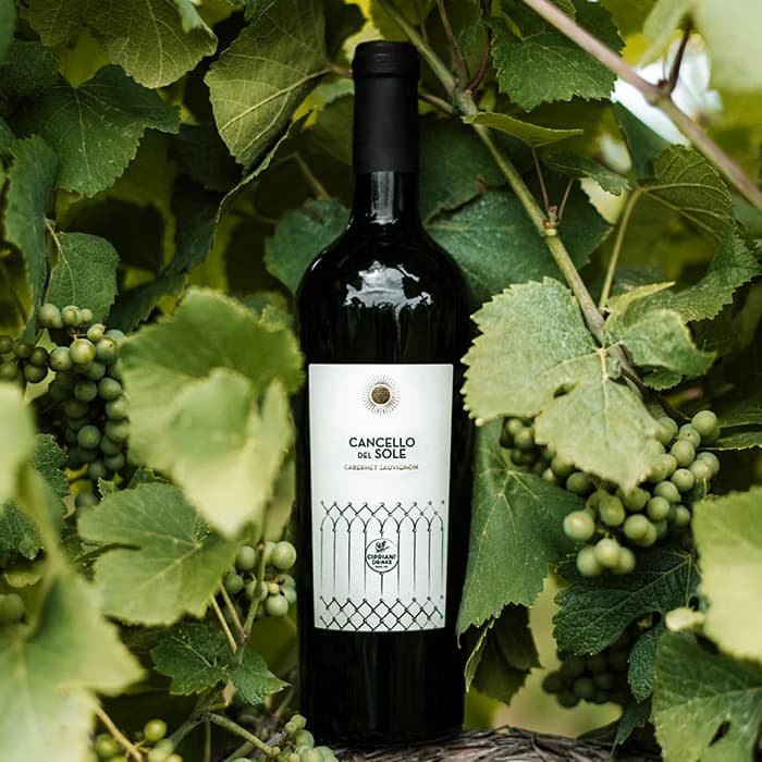 Cipriani Cancello del Sole — Merlot 750ml (12,5%) - Menu item