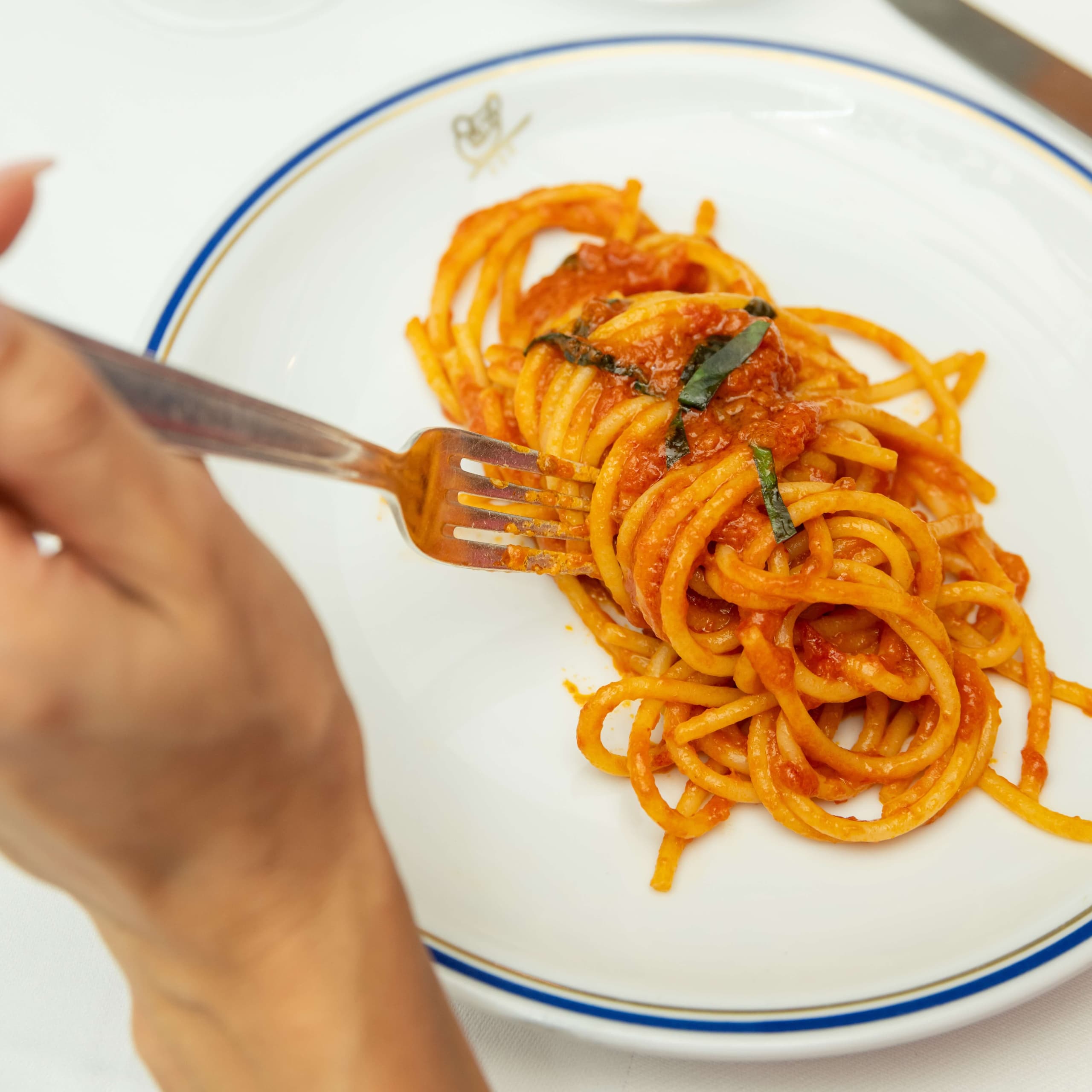 Spaghetti tomates et basilic - Menu item